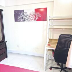 Blk 313D Anchorvale Gardens (Sengkang), HDB 4 Rooms #497322001